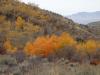 Humboldt-Toiyabe%20National%20Forest%2C%20Pearl%20Creek%20Area2%20by%20Intermountain%20Region%20US%20Forest%20Service%20is%20marked%20with%20Public%20Domain%20Mark%201.0.